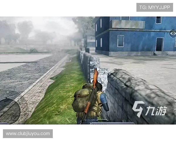 九游网页版登录方式多样化介绍及常见问题解决方案